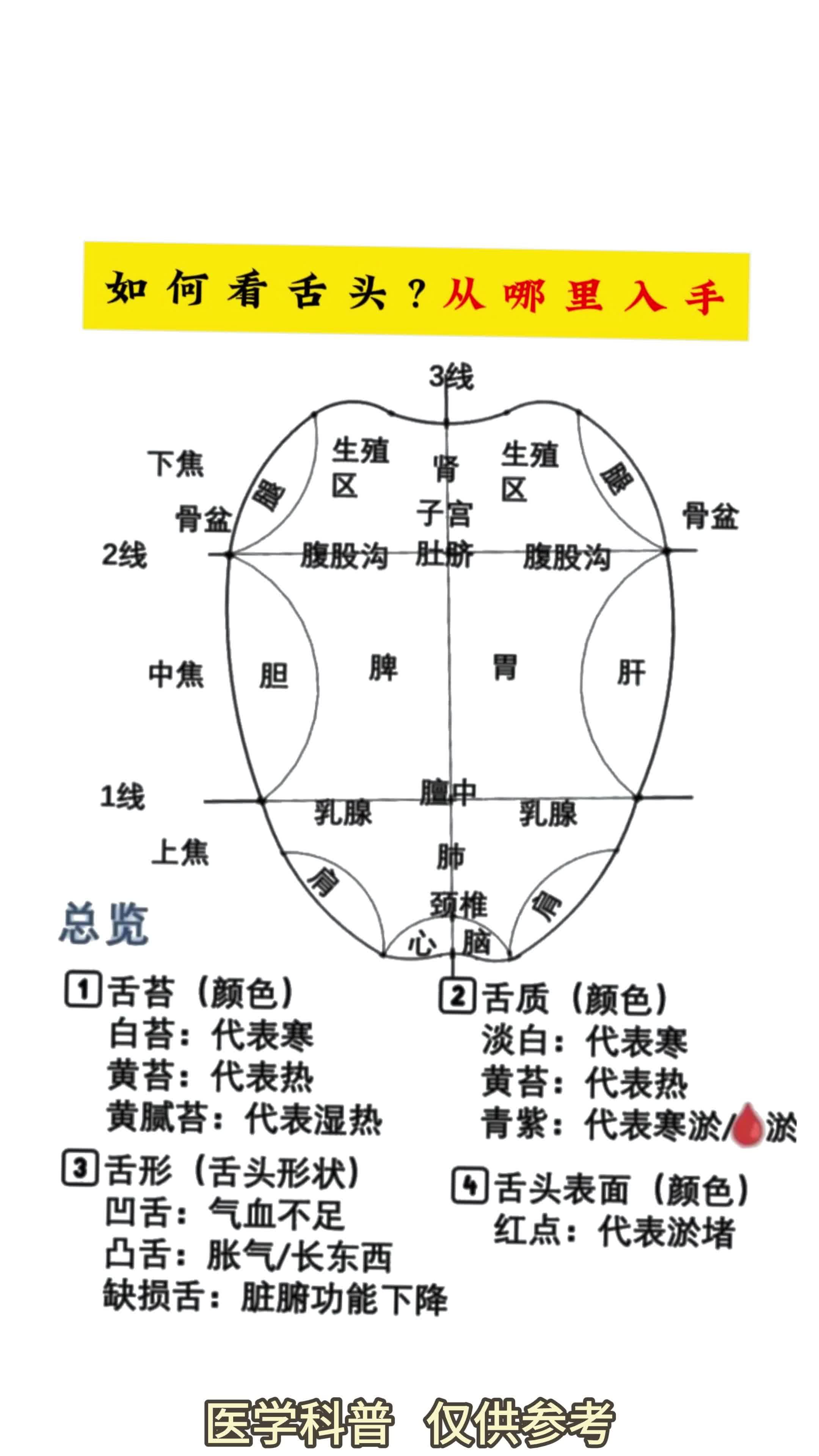 舌头如何看病图解图片