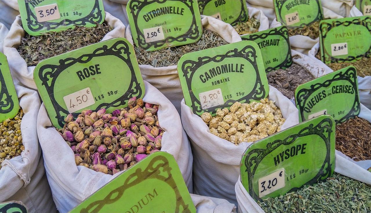 新鲜的穿心莲怎么吃