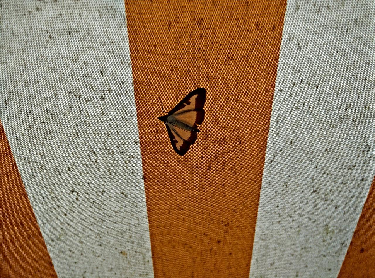 拉线窗帘如何穿线