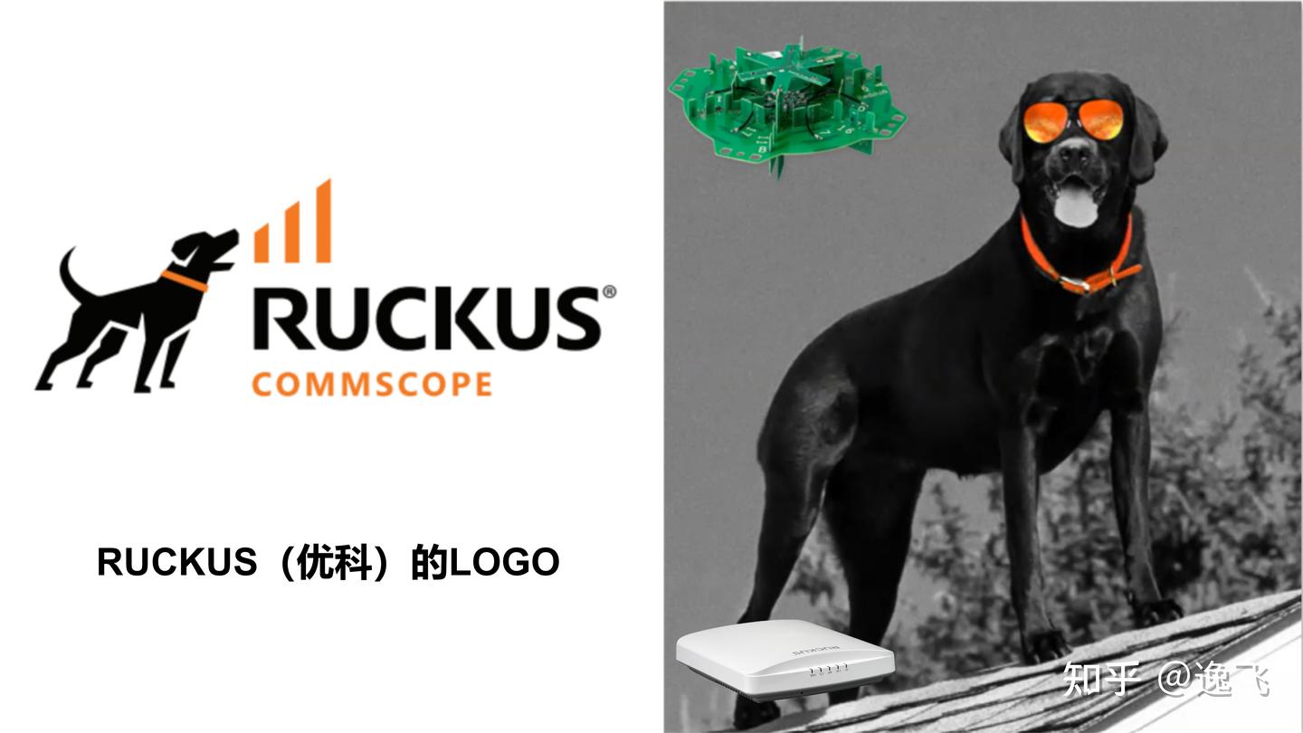 RUCKUS篇 - 知乎