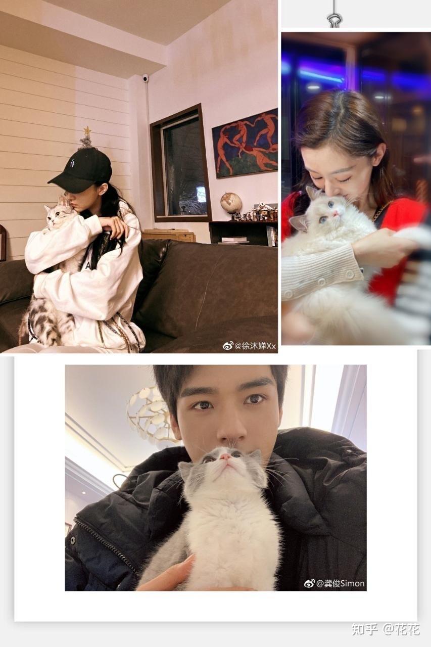 龚俊和徐沐婵现在还在一起吗