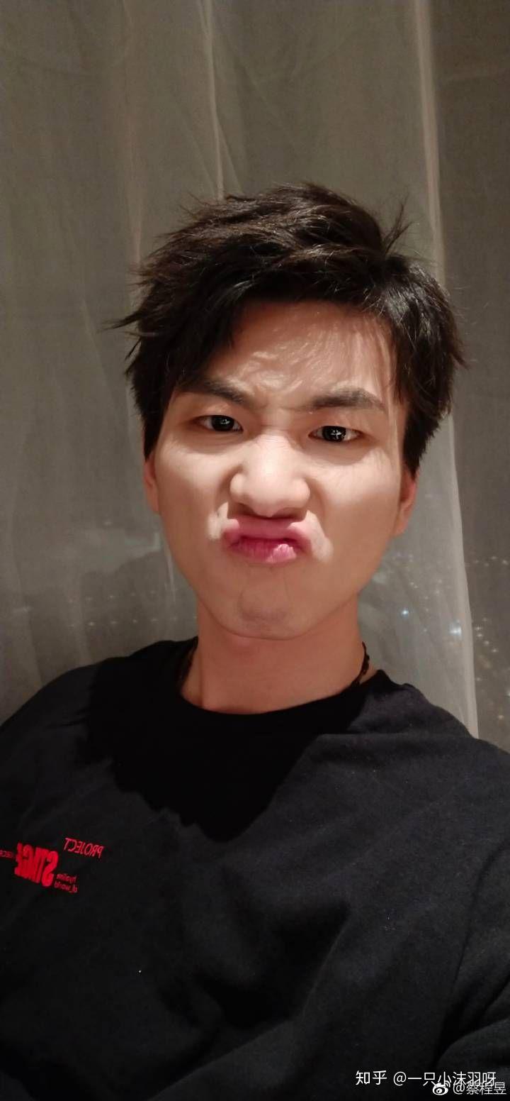 如何评价声入人心蔡程昱