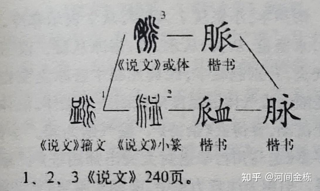 《医经续考》“脉”考识——“脉”字之源暨气脉 - 知乎