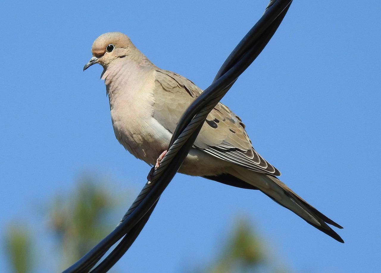 2. 简约商务风格