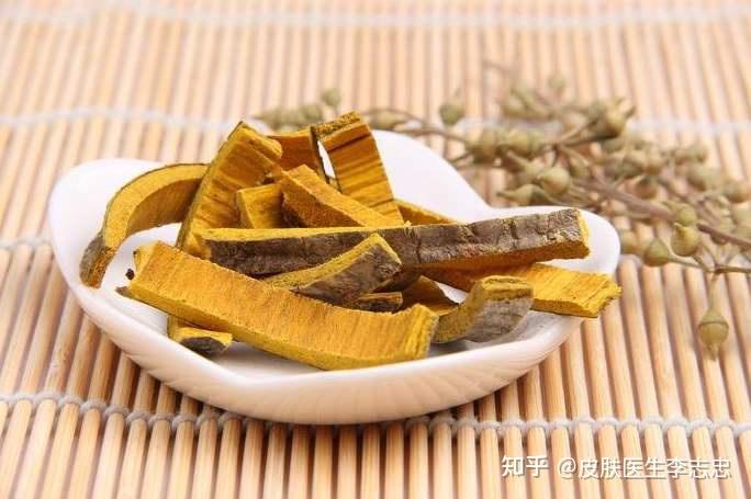 一味“黄柏”,居然可治10种皮肤病! - 知乎