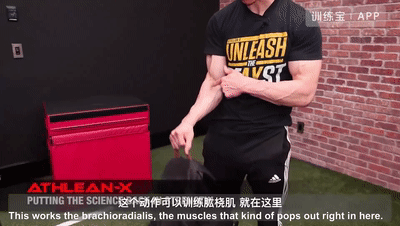 这6个小臂训练动作,才是我们真正需要的! - 知乎