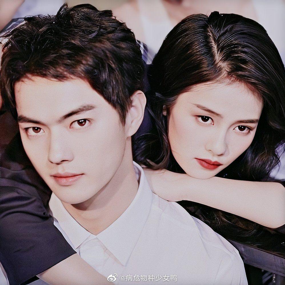 烈火军校许凯白鹿有cp感吗