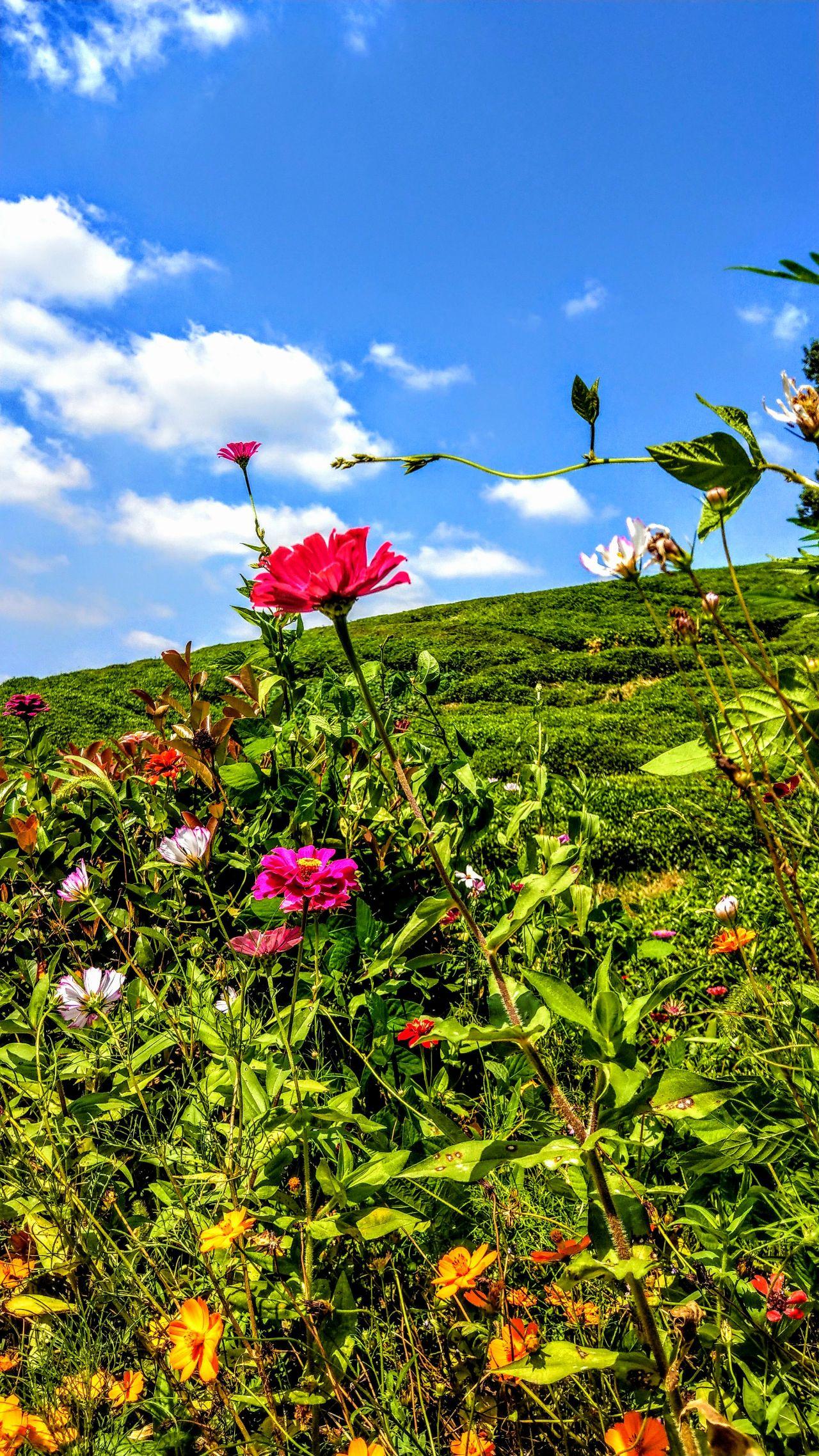 你有没有随手一拍却很美的照片