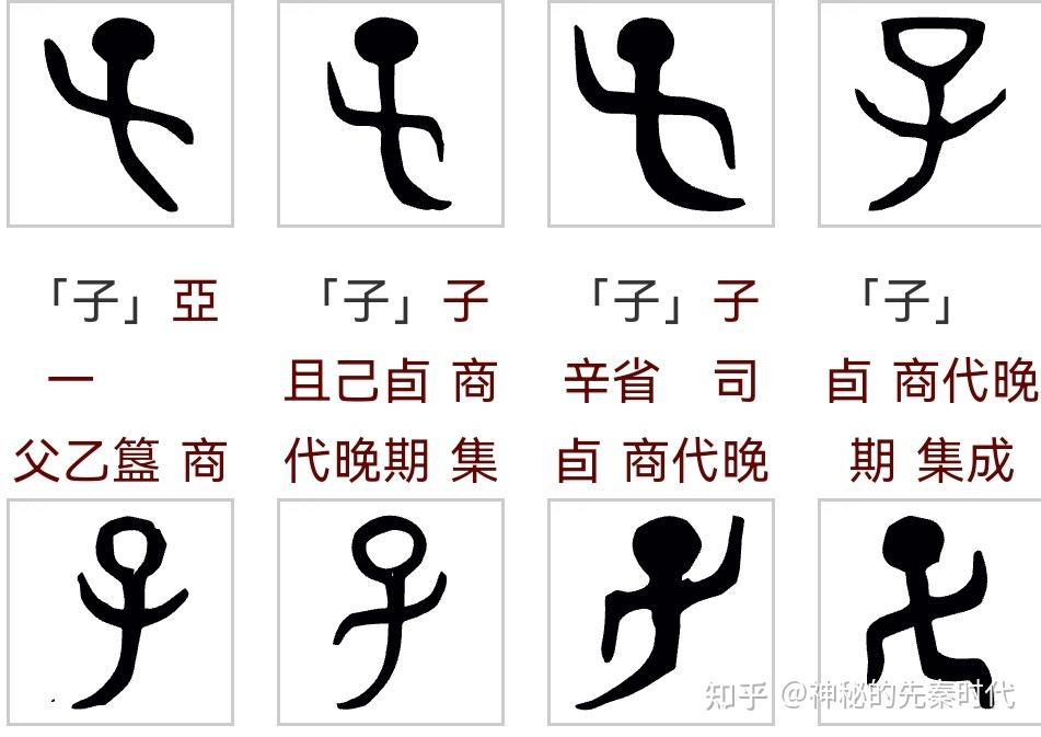 「子」字的甲骨文字形是什么?能详细说一下「子」字的演变过程吗?