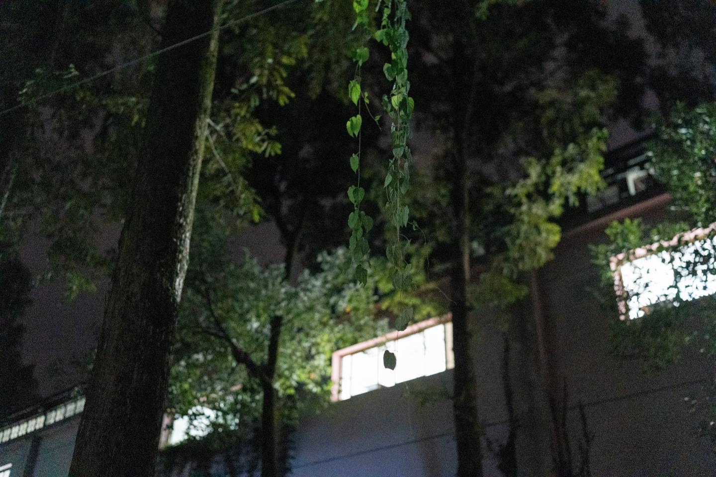 【见微知著】2023丽水摄影节——15号馆——不完全解析 - 知乎