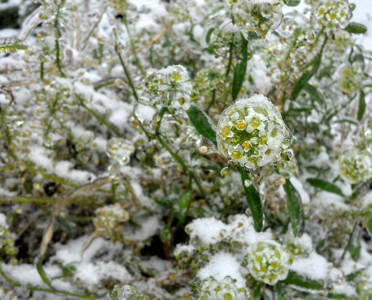 封存公积金有哪些影响