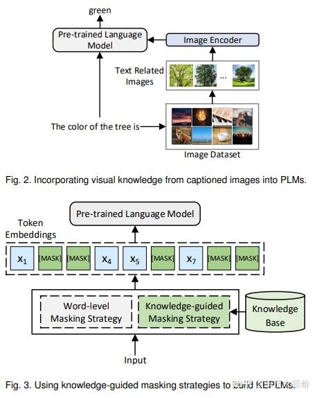 A Survey on Knowledge-Enhanced Pre-trained Language Models - 知乎