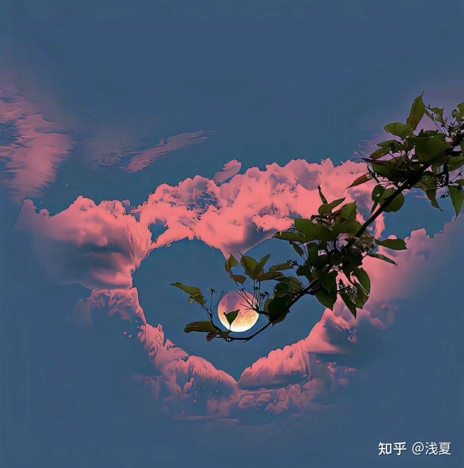 你有突破100个粉丝了吗？  第1张