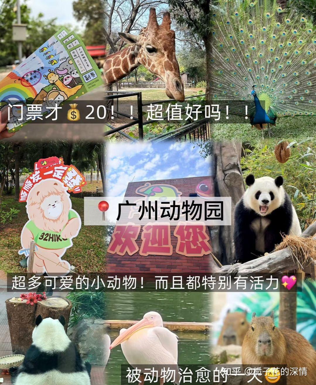 广州两天一夜旅游攻略! - 知乎