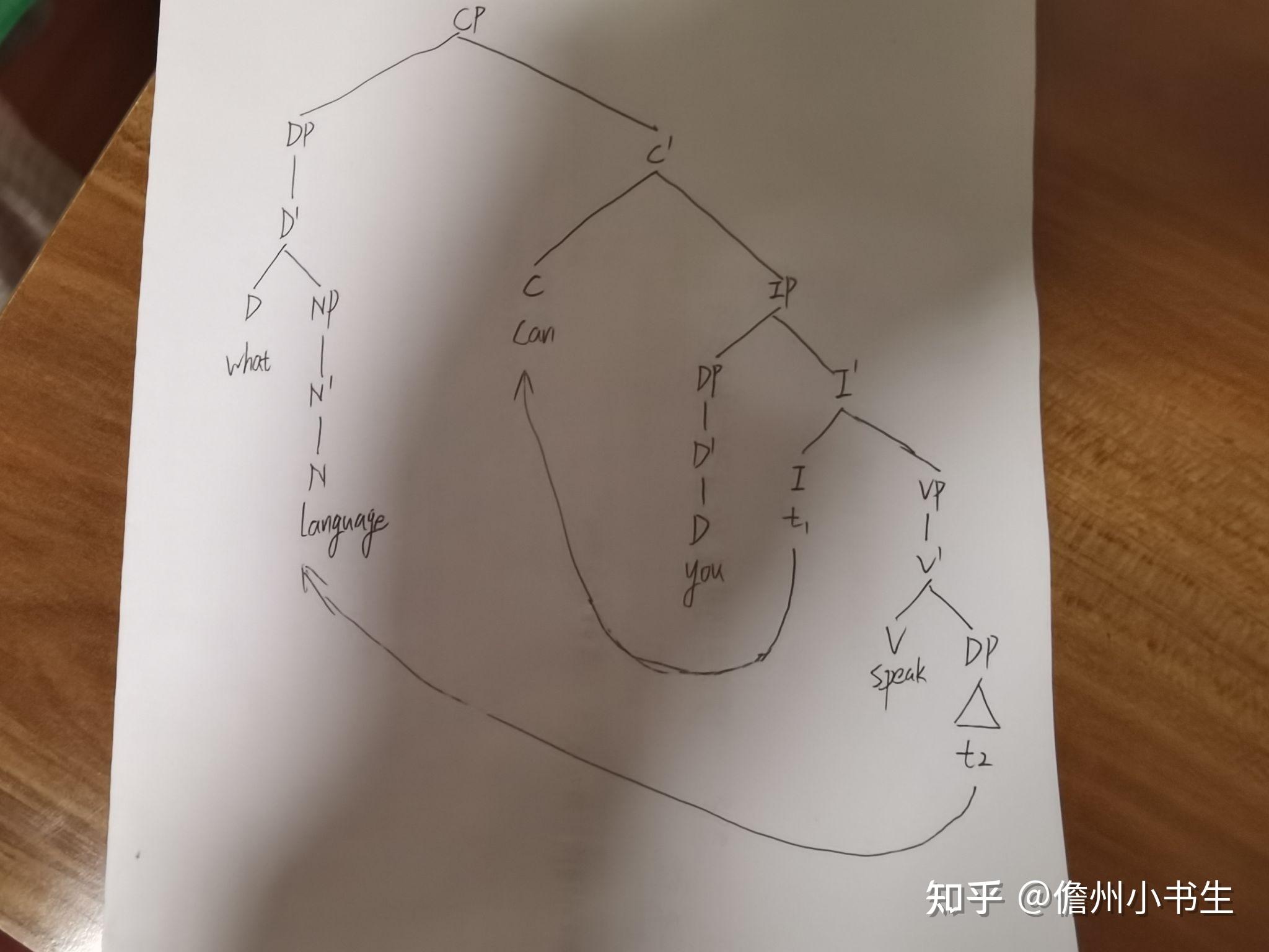 語言學樹狀圖怎麼畫