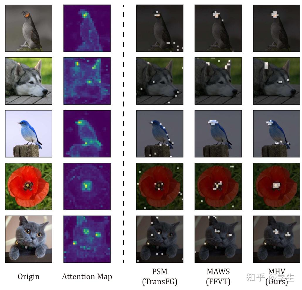 文献阅读：Fine-Grained Visual Classification via Internal Ensemble Learning ...