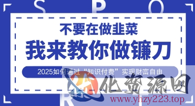 韭菜生涯终结者，我来教你做镰刀，2025如何通过“知识付费”实现财F自由【揭秘】