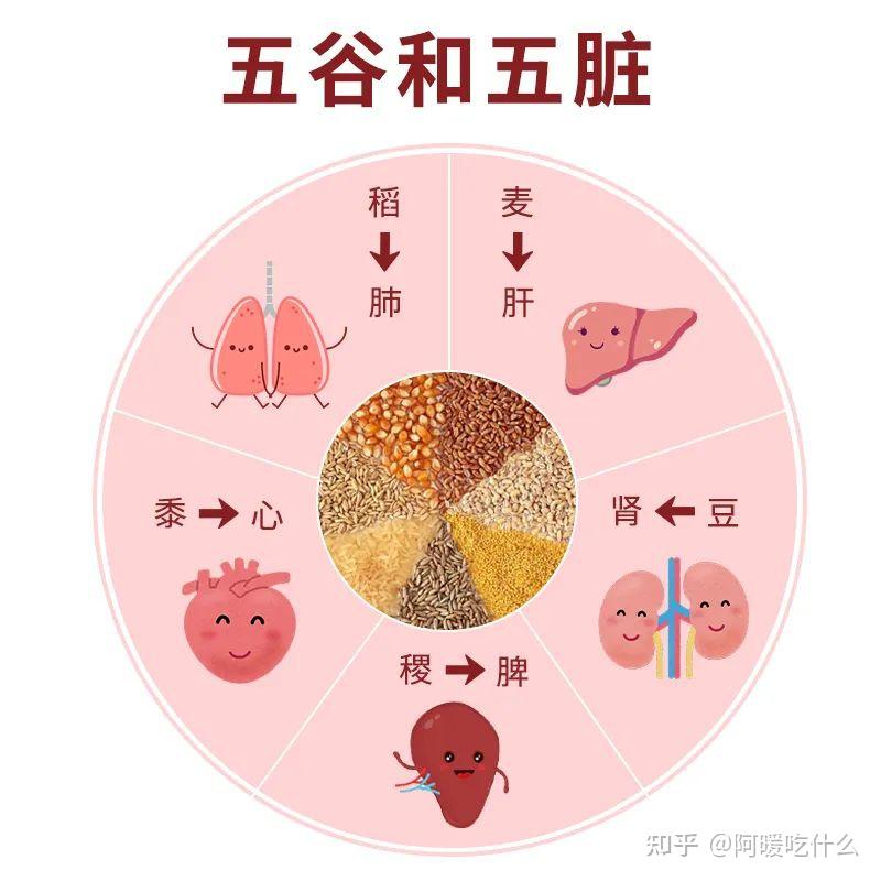 中医眼里,最养人的「五谷」都有哪些?吃对了能有多好? - 知乎