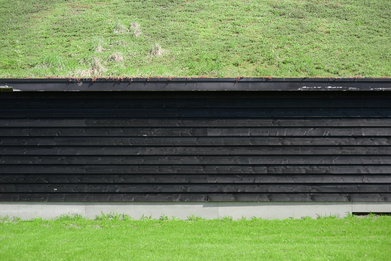 2. 低碳生活典范