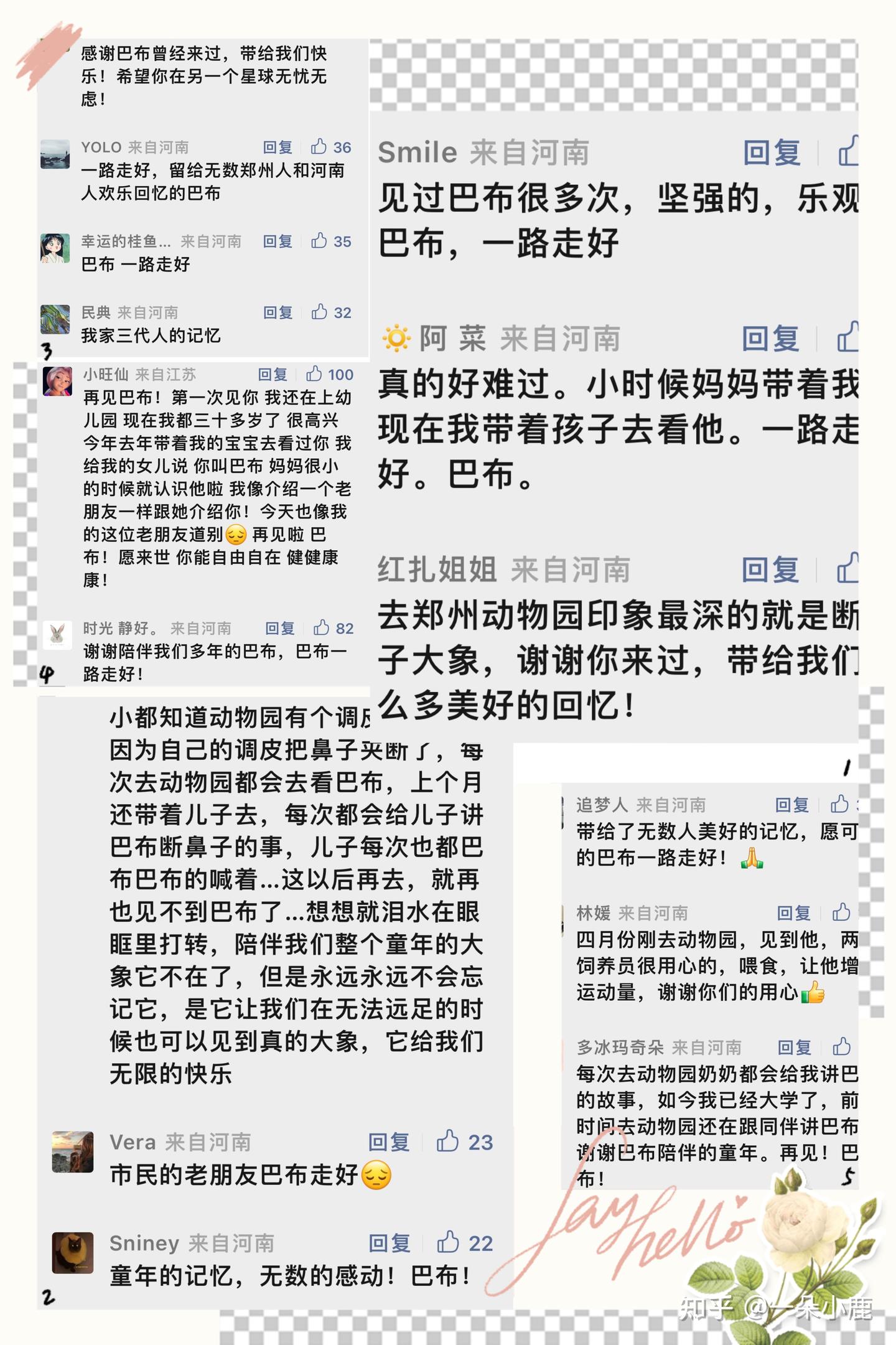 再见,巴布 - 知乎