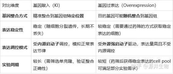 基因敲入 vs 过表达:该如何选择? - 知乎