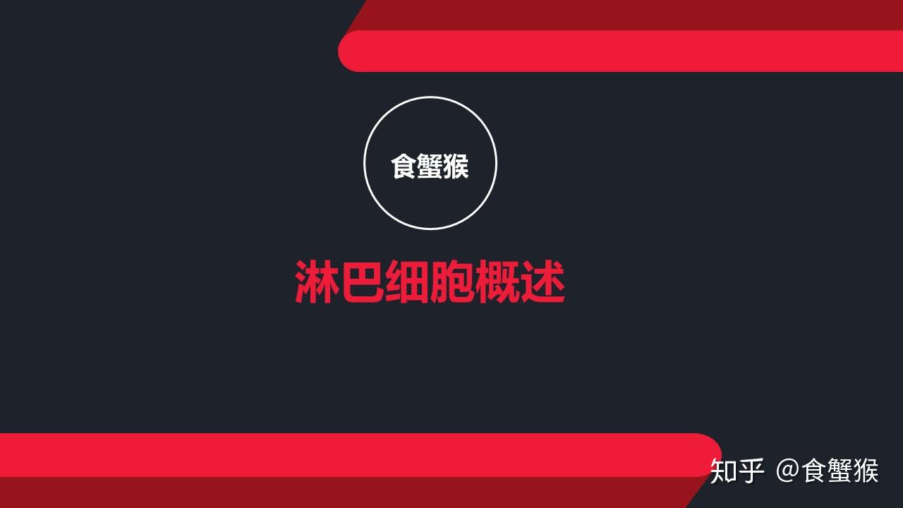 一分钟，带你了解“淋巴细胞” - 知乎