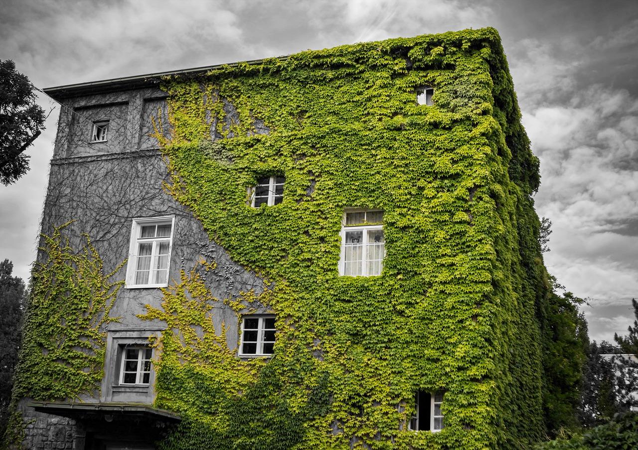 1. 舞蹈专用地板