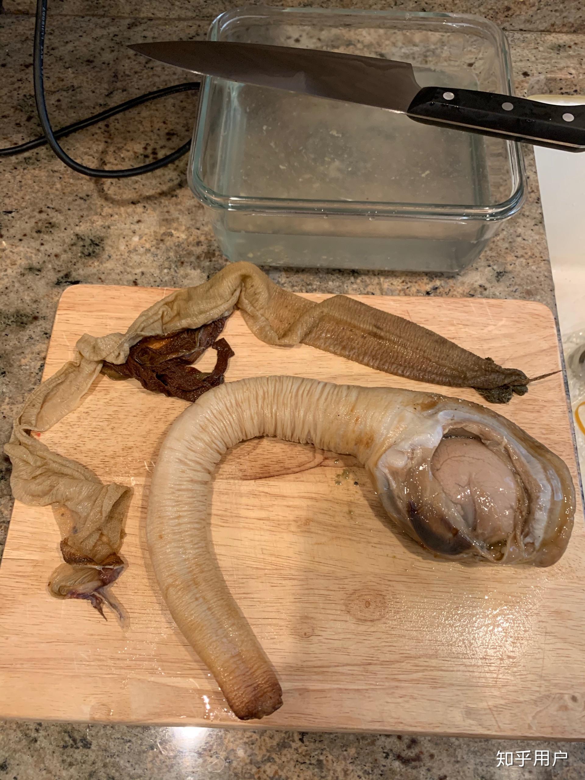 处理象拔蚌是一种什么样的体验