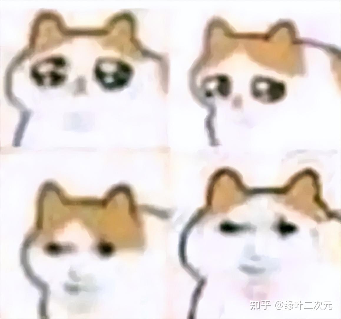 啊，不行了，这猫猫meme图太可爱了- 知乎