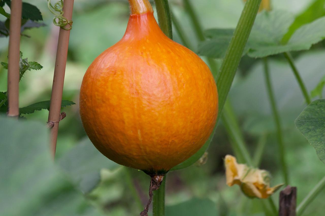 4. 租客评价一览