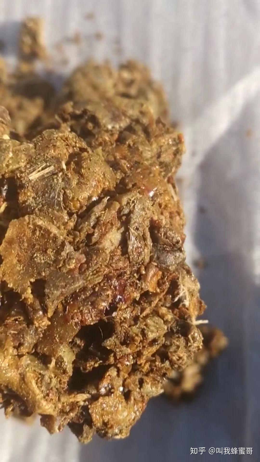 老爹有糖尿病,想买东北黑蜂蜂胶,特来询问下有没有懂行的推荐下?