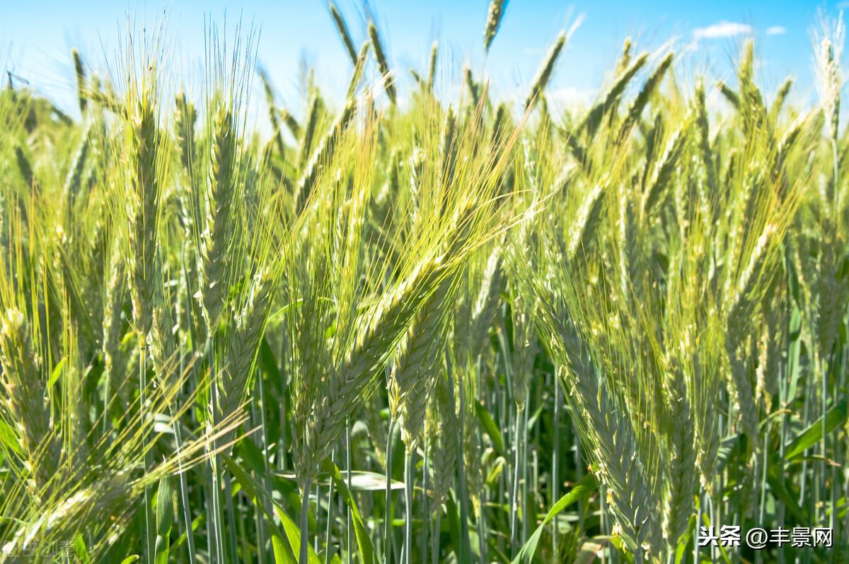 v2-ca2802fd5e817c5330d15da5861e866f_1440w.jpg?source=172ae18b