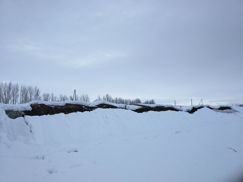 雪的优美句子_雪的形成条件_降雪等级标准