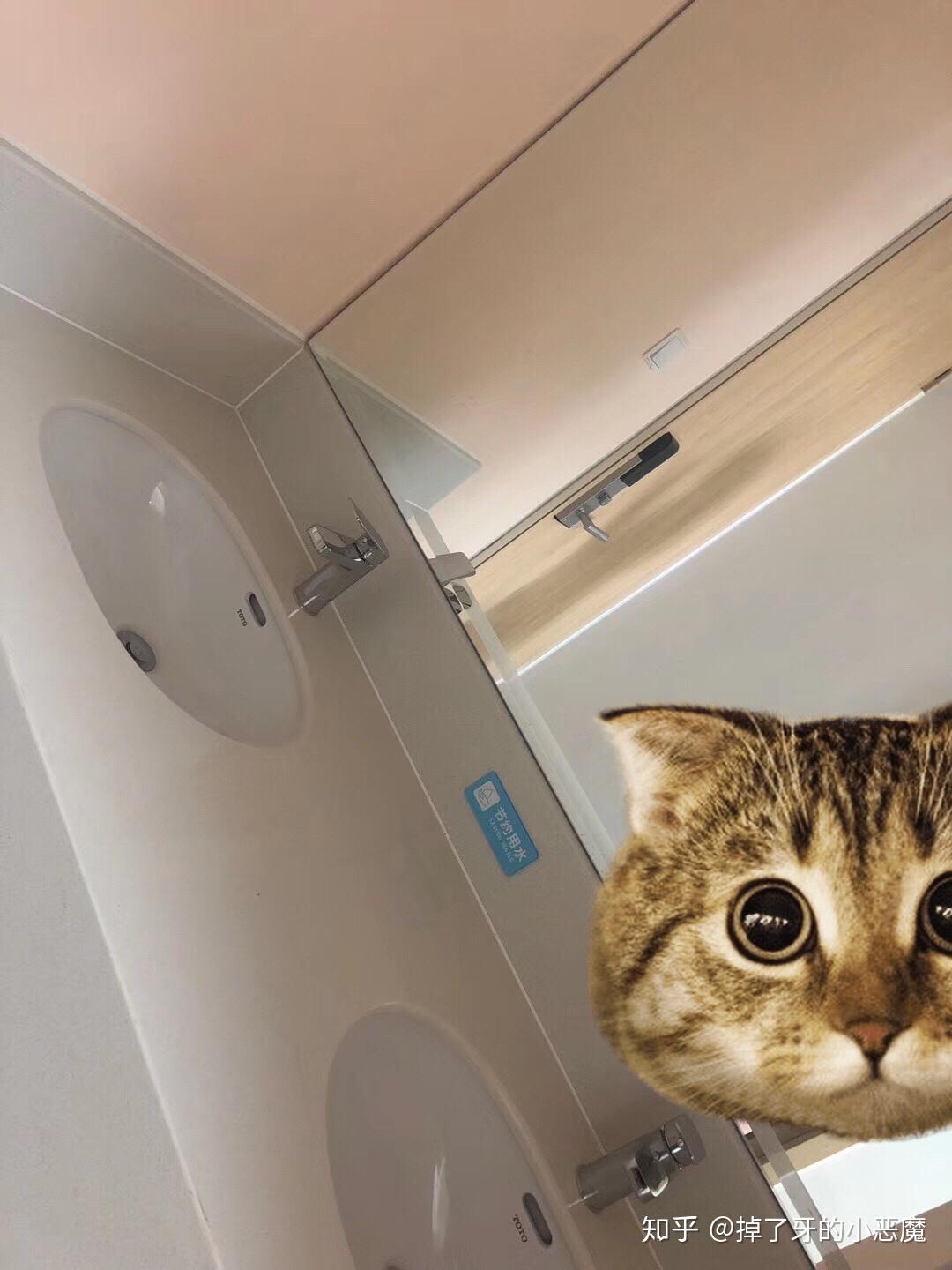 国内哪个大学宿舍条件好? - 知乎