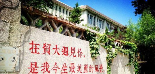 工科学姐三跨上岸贸大815经验详谈