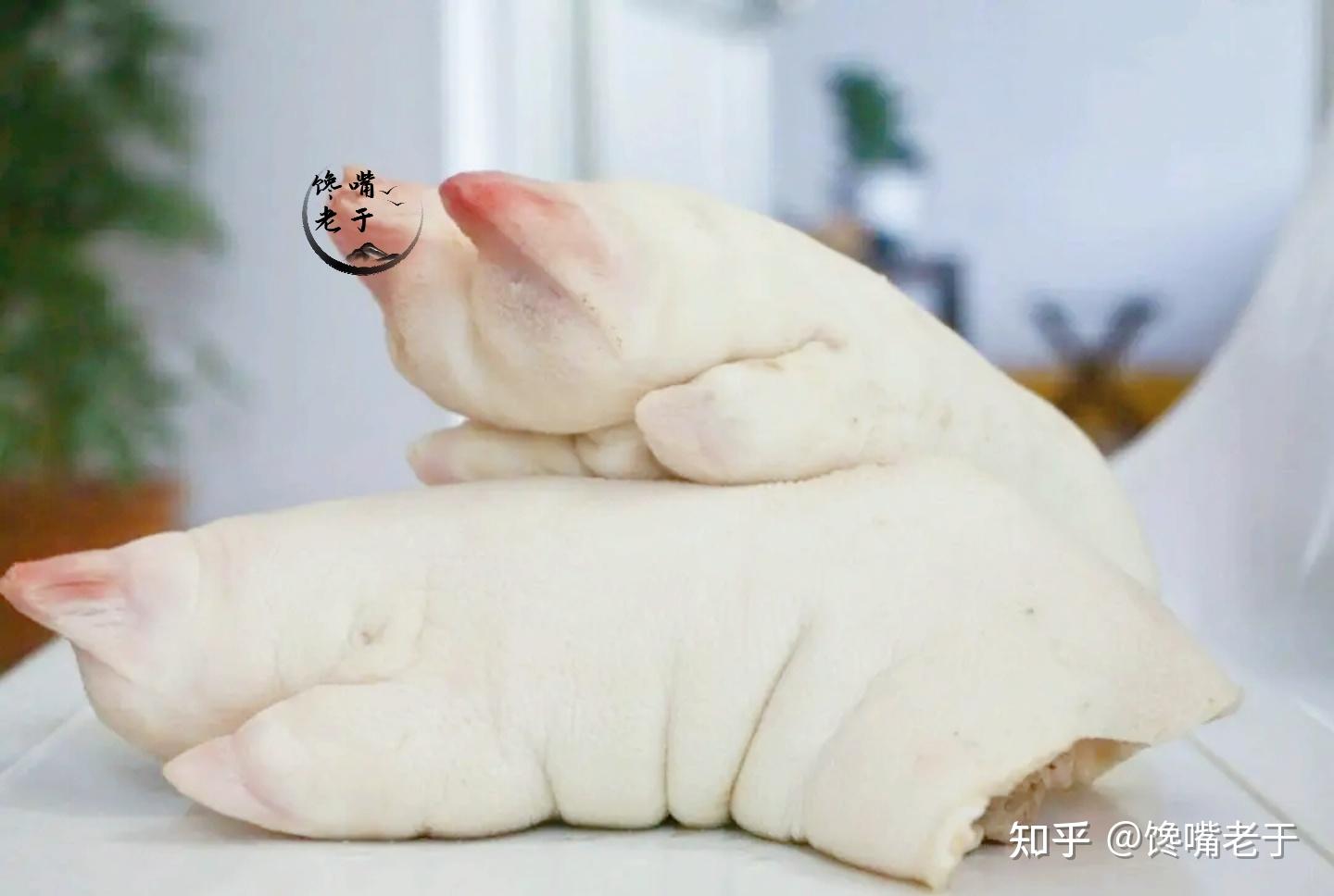 猪的前蹄和后蹄怎么区分？ - 知乎