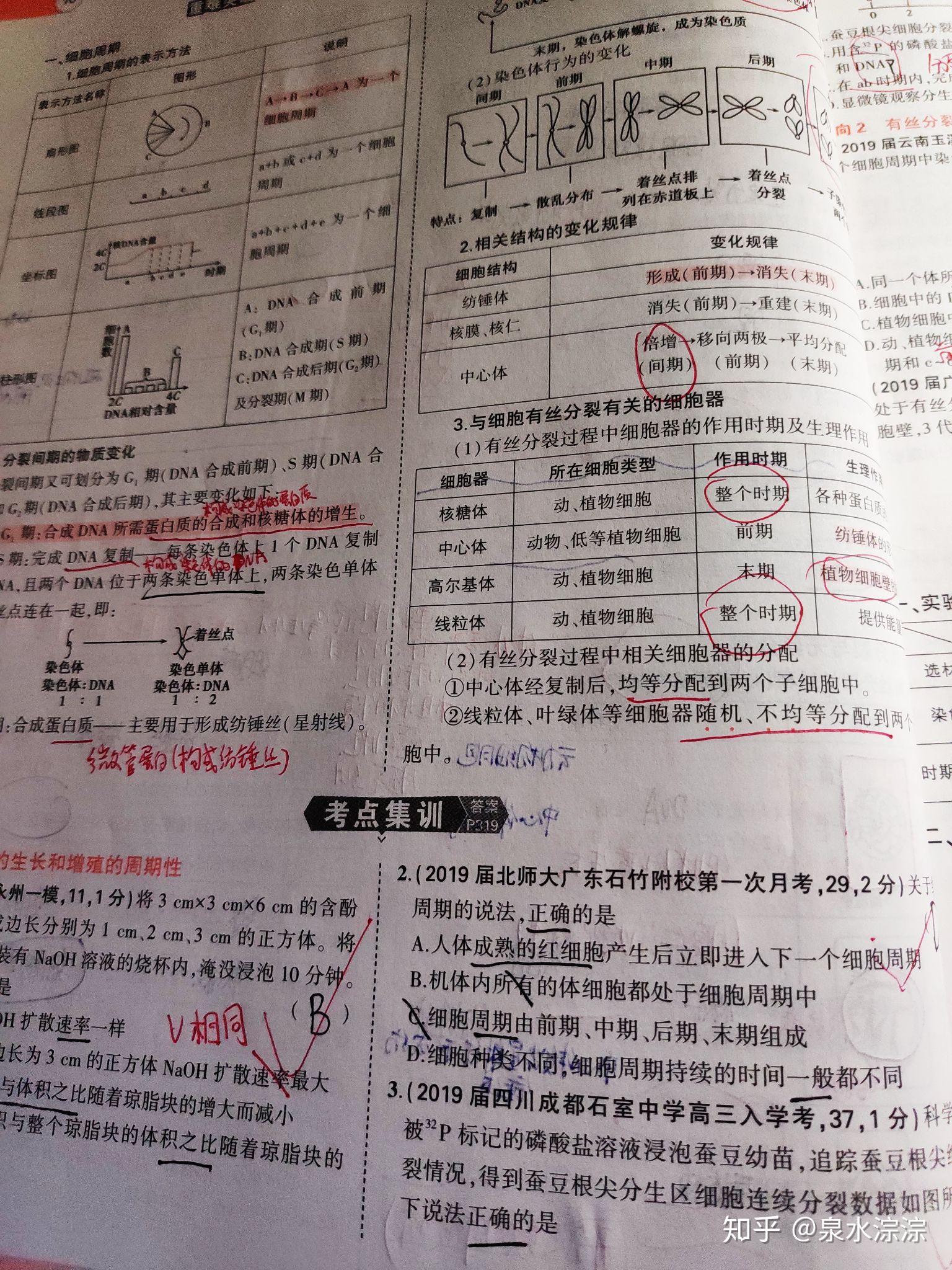 高三刷题生物推荐网课(高三生物刷题资料哪本好)