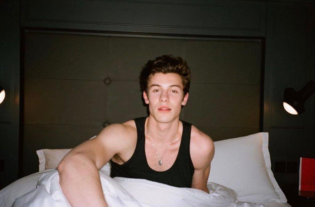 有没有萌德shawnmendes的高清壁纸鸭