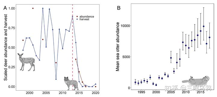 如果将 20 只狼和 500 只鹿放进同一孤岛，最后谁能活下来？