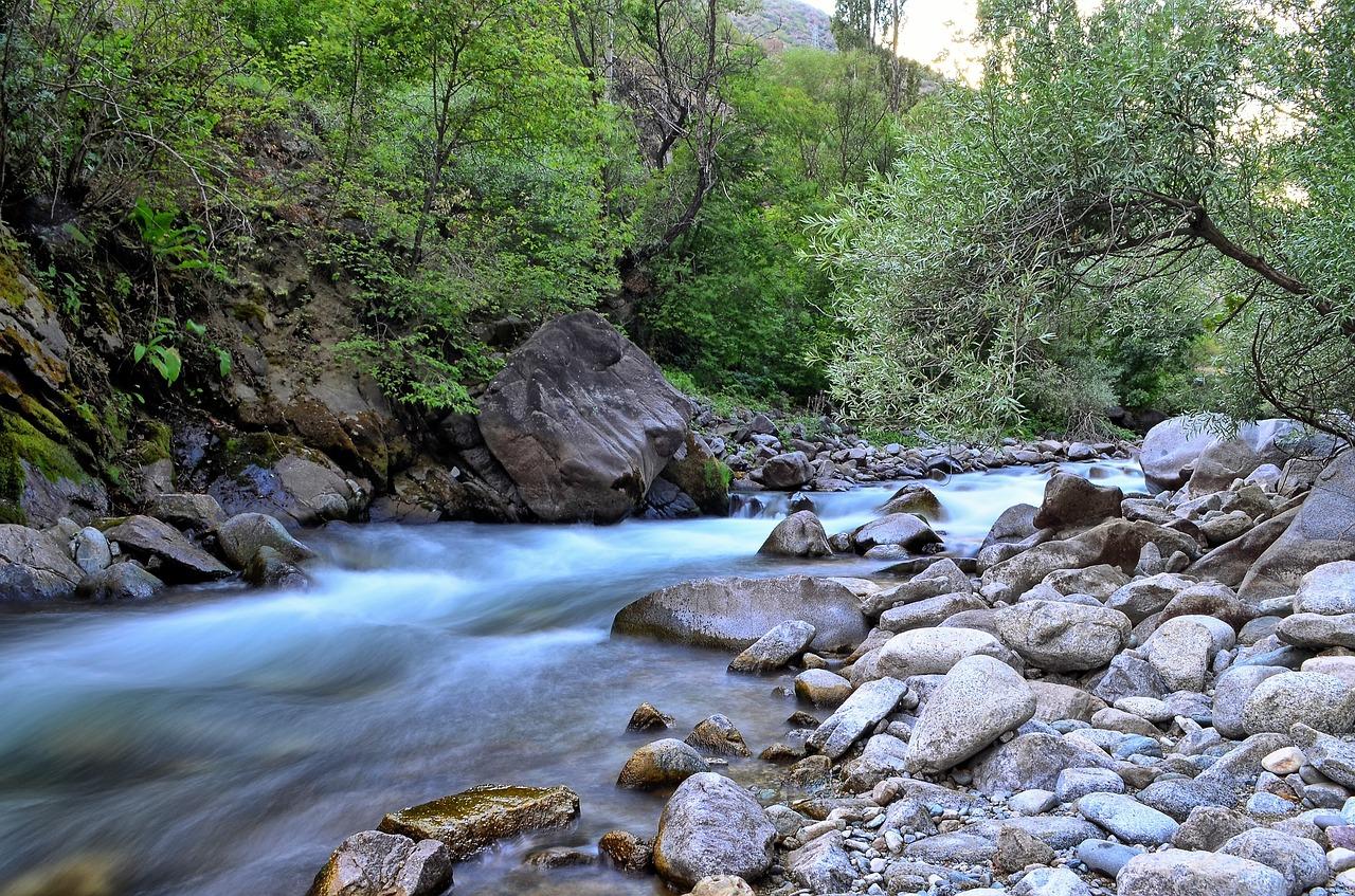 江左岸最新报价