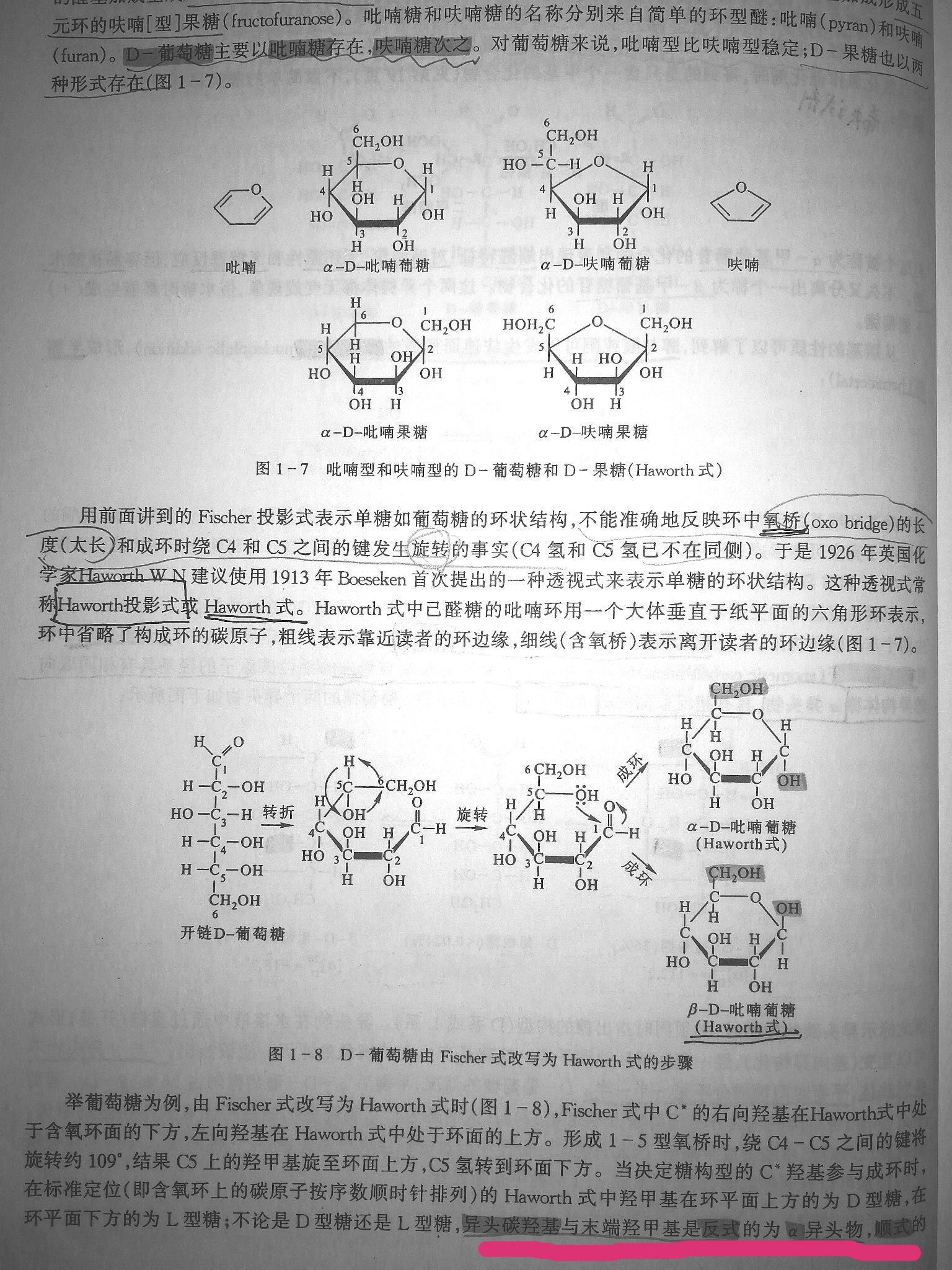 这个哈沃斯式到底如何看α和β