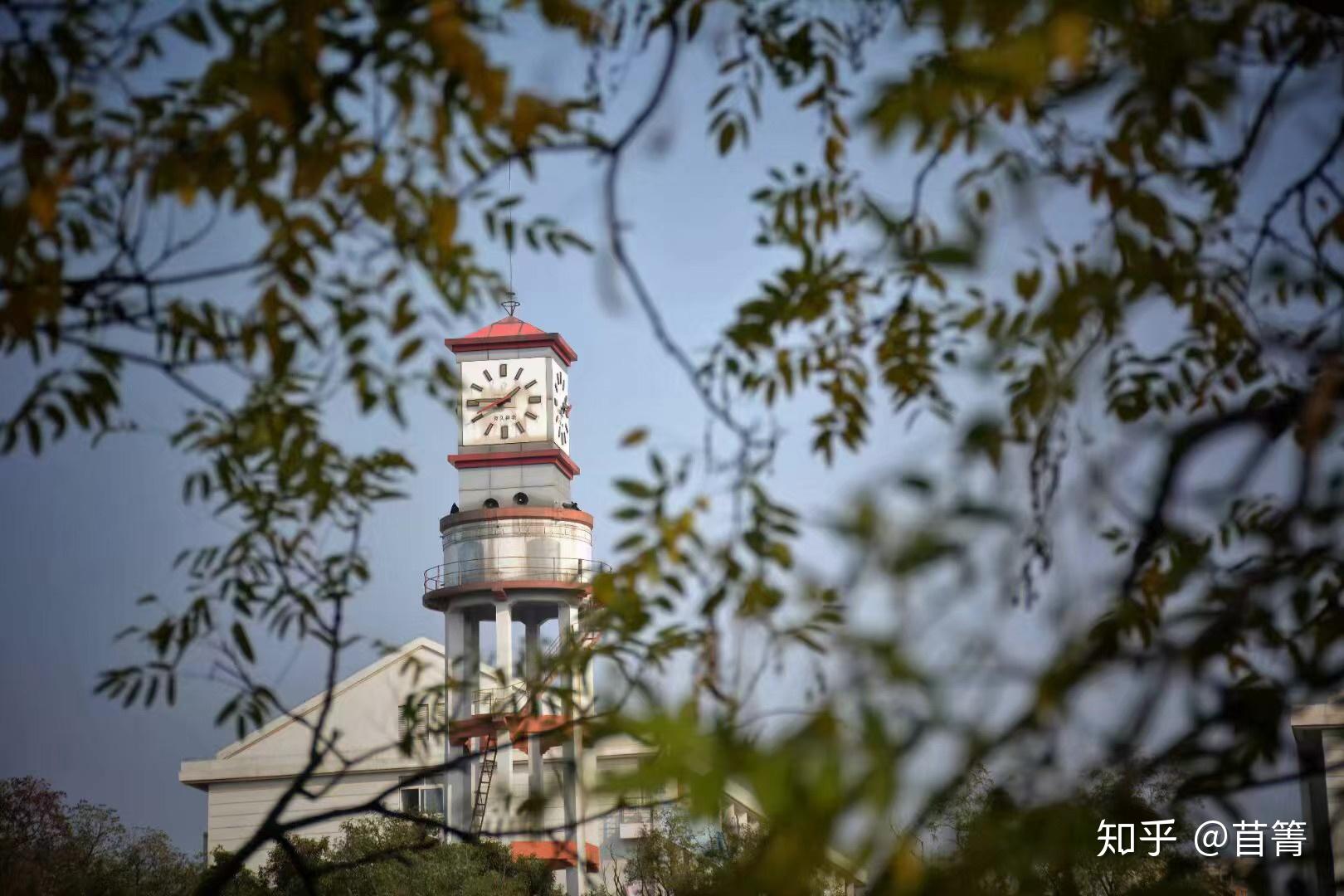 安徽农业大学有哪些难看的校园建筑