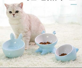 怎么看小猫是不是便秘 v2-caf9e599eb94e949cf63a094b5281fb5_1440w.jpg?source=172ae18b