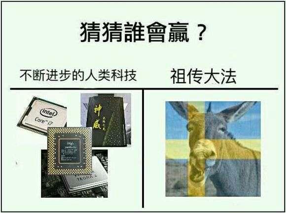 瑞典蠢驴是什么意思