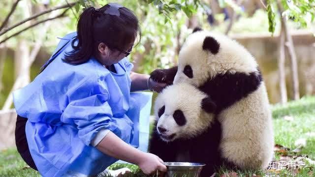 十二生肖婚姻最佳夫妇求学业