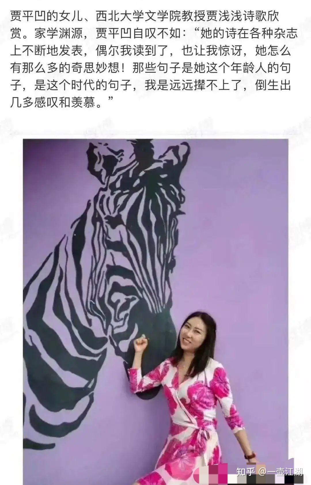 如何评价贾平凹的女儿贾浅浅