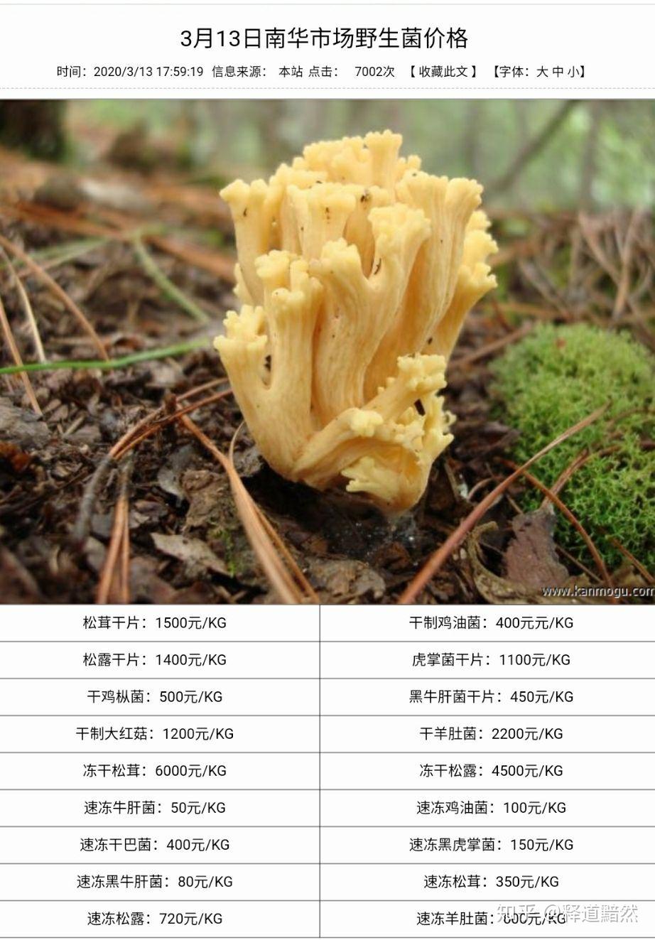 云南的菌类图片及名称图片