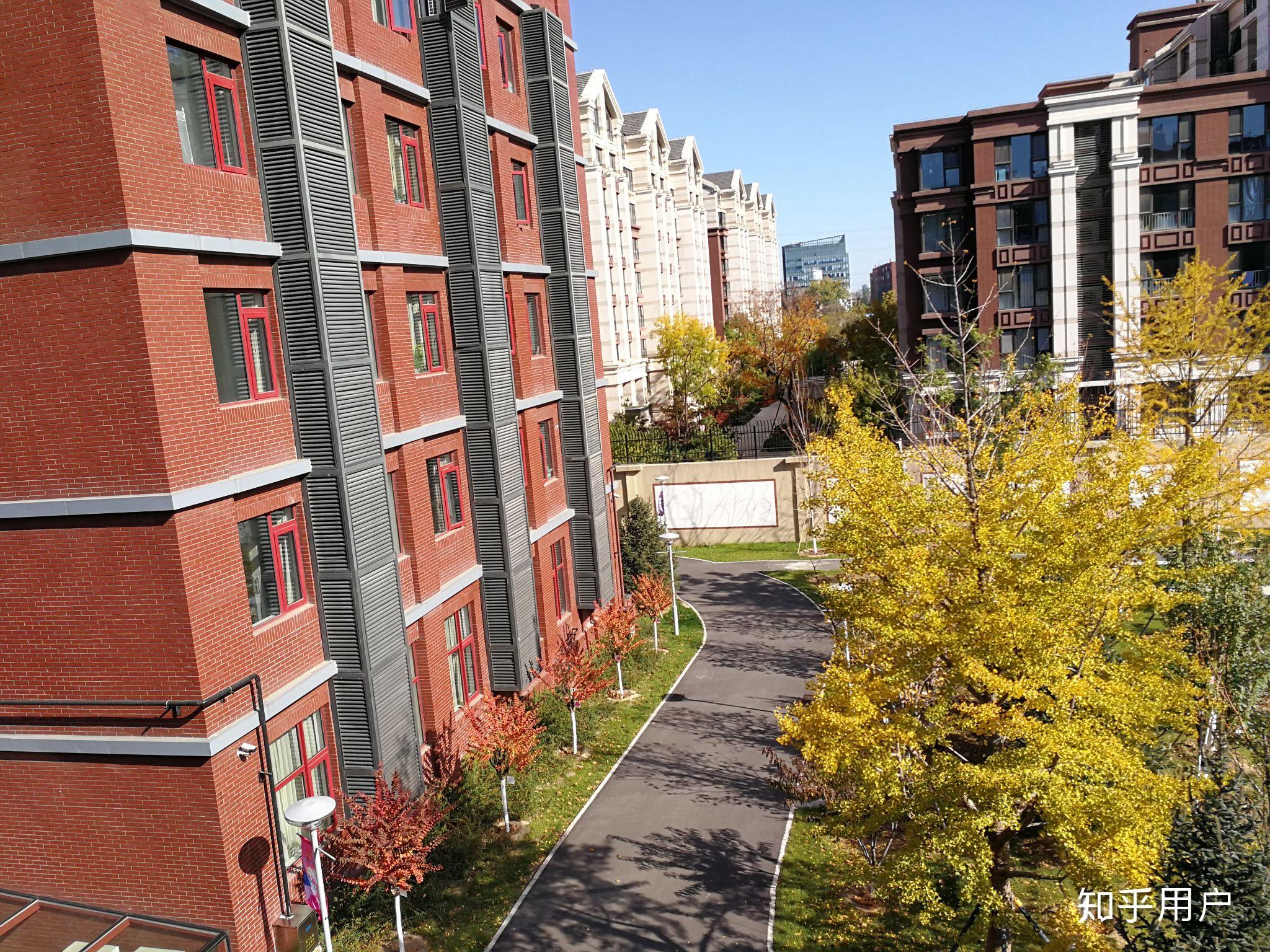 十一龙樾这个学校好吗