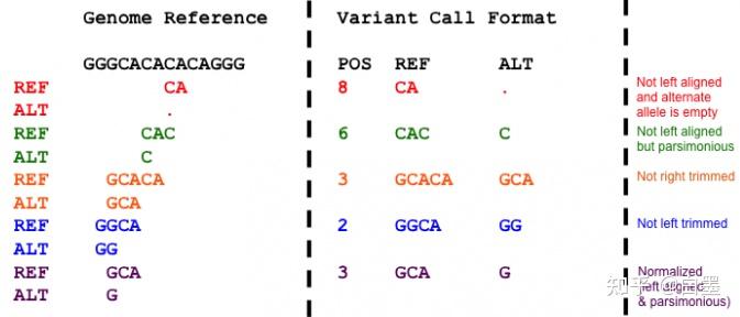 Vcf Sample 图文详解 VCF 生信格式 (变异信息) - 知乎