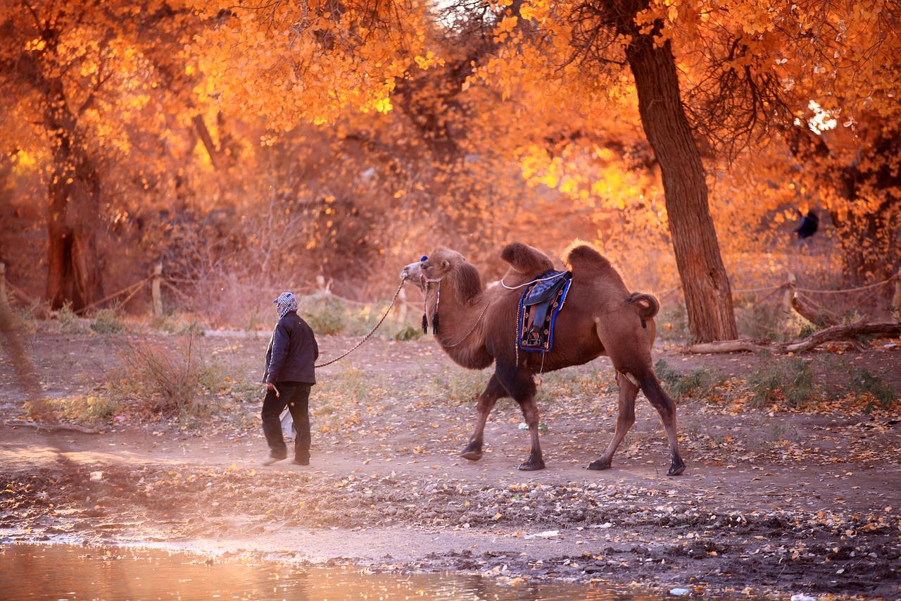 地暖在乌鲁木齐的应用